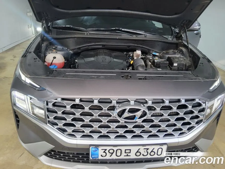 Hyundai Santafe 2021 из KR, фото 7