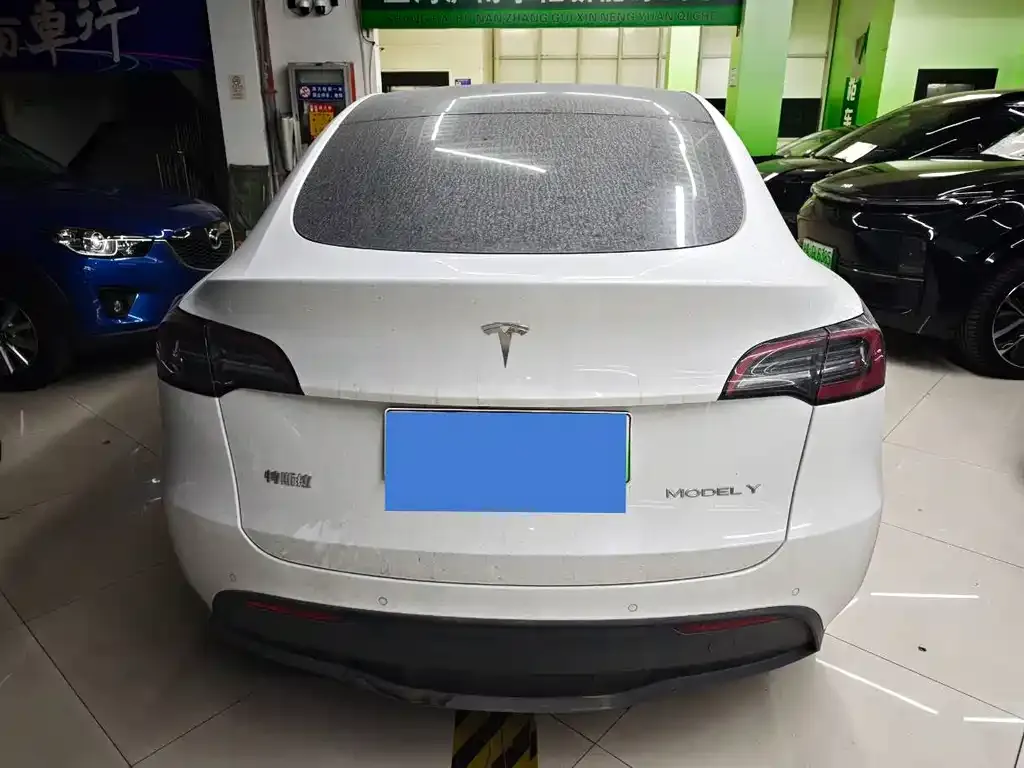 Tesla Model Y 2023 из CN, фото 6