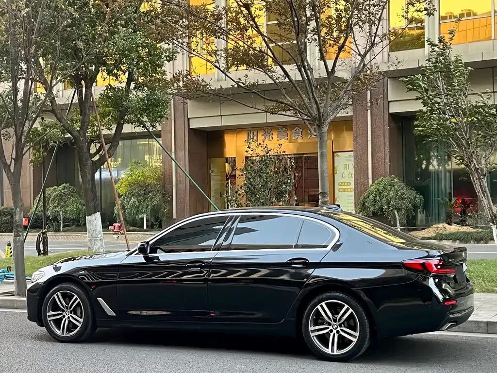 BMW 5 Series 2021 из CN, фото 10