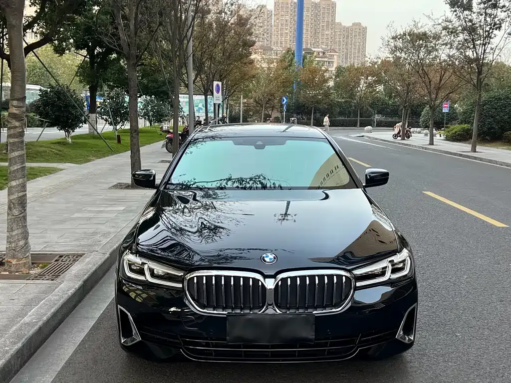 BMW 5 Series 2021 из CN, фото 6