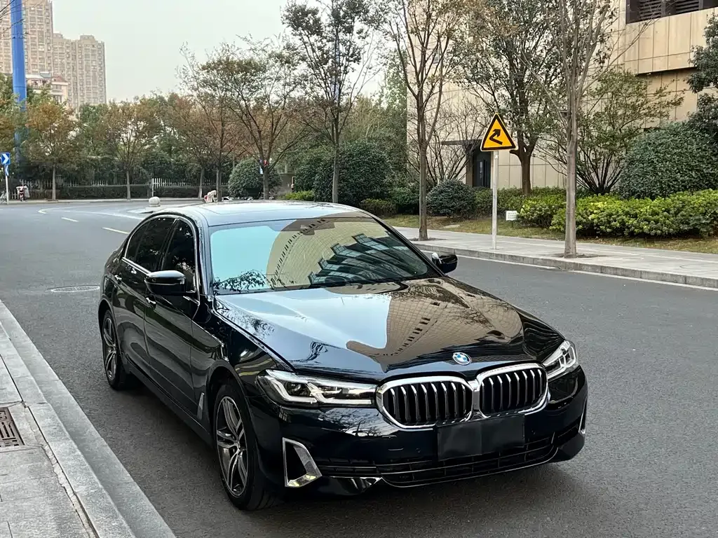 BMW 5 Series 2021 из CN, фото 8