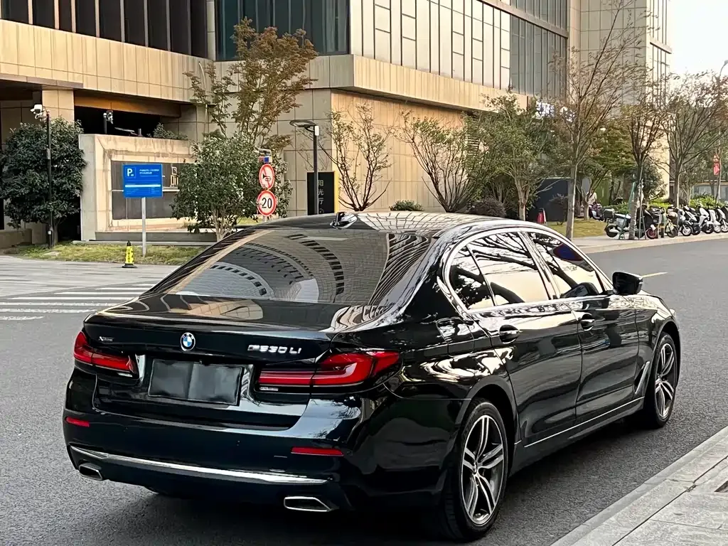 BMW 5 Series 2021 из CN, фото 3