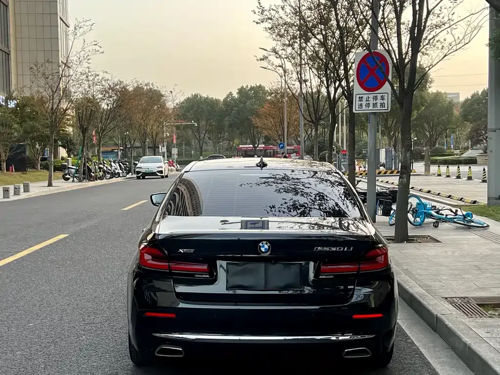 BMW 5 Series 2021 из CN, фото 9