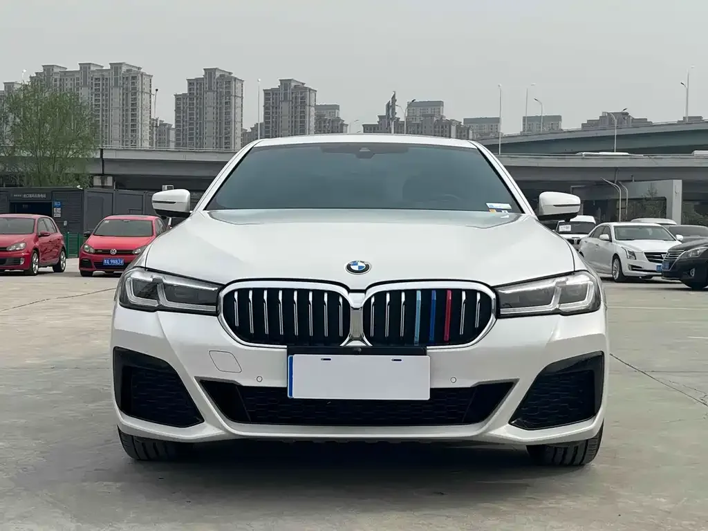 BMW 5 Series 2022 из CN, фото 7