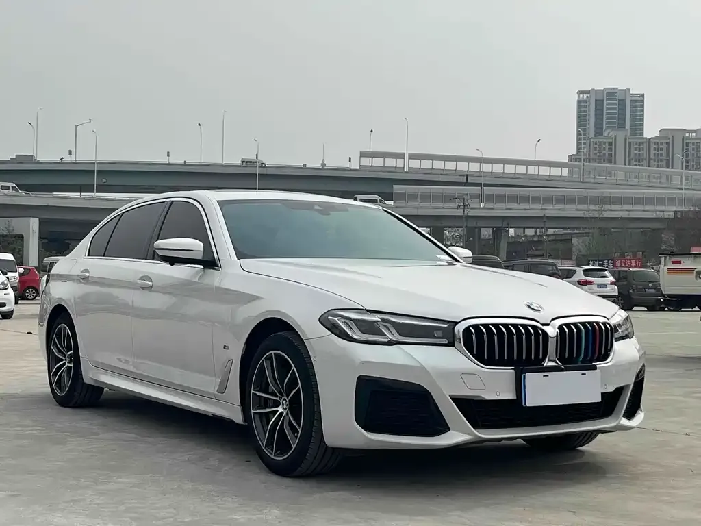 BMW 5 Series 2022 из CN, фото 10