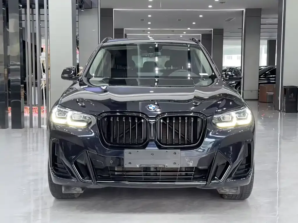 BMW X3 2021 из CN, фото 6