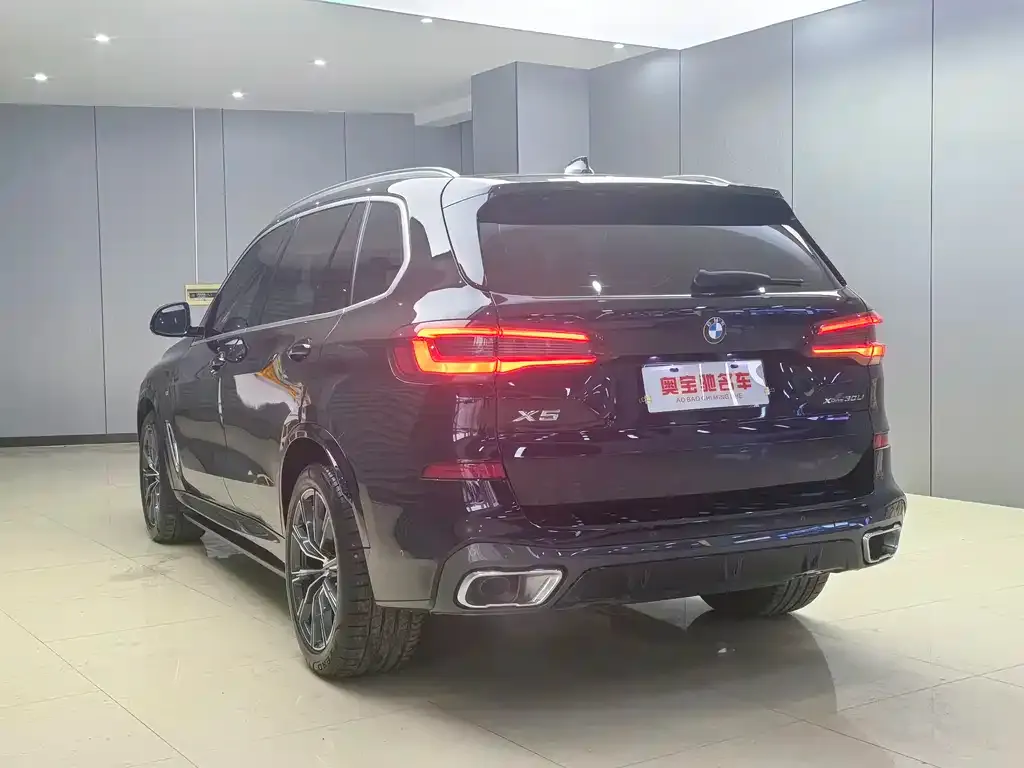 BMW X5 2023 из CN, фото 8