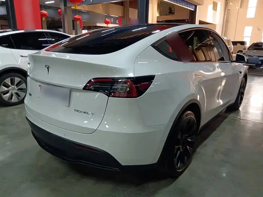 Tesla Model Y 2023 из CN, фото 10