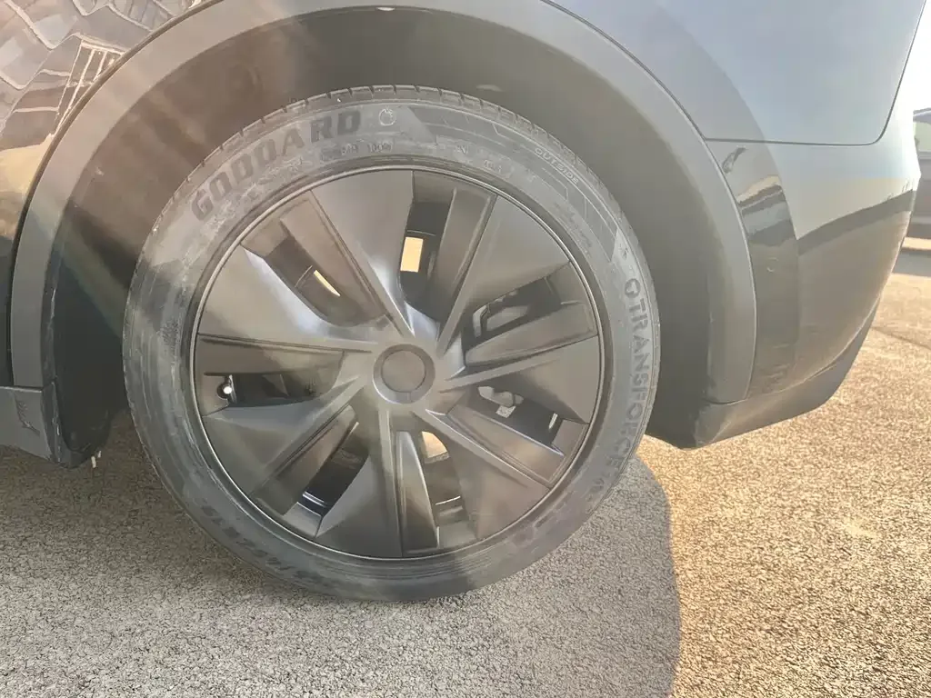 Tesla Model Y 2023 из CN, фото 7