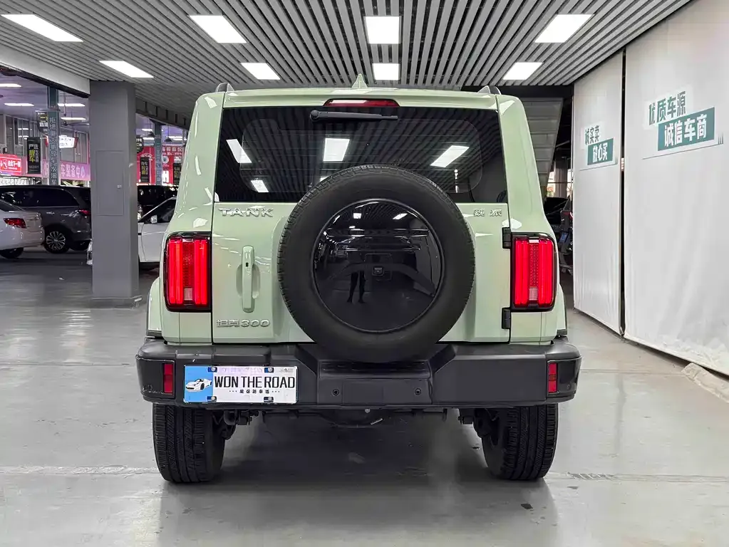 Tank 300 2021 из CN, фото 3