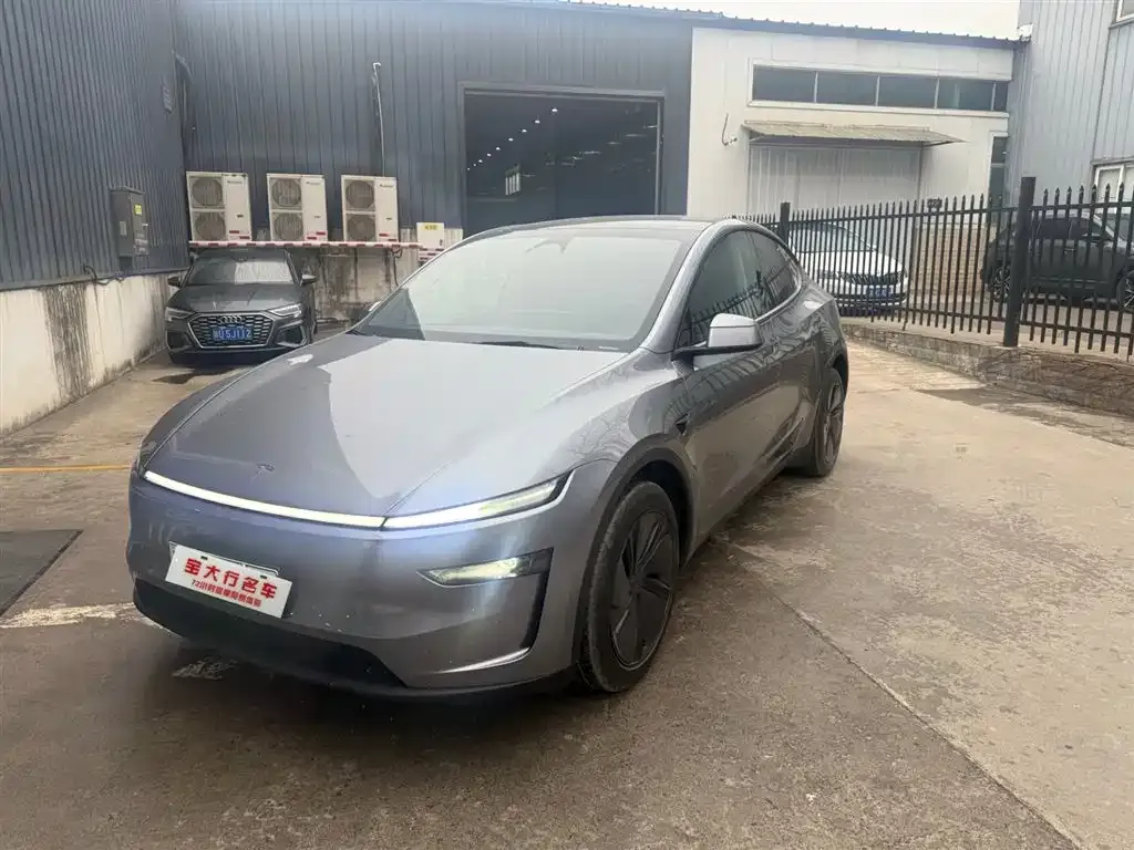 Tesla Model Y 2025 из CN, фото 1