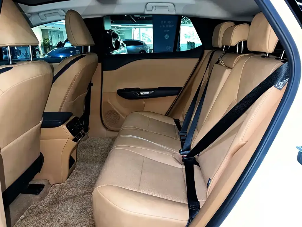 Lexus RZ 2023 из CN, фото 10