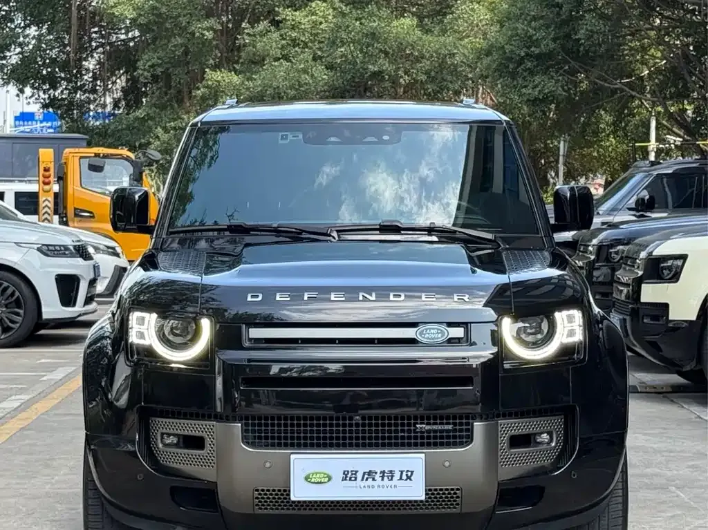 Land Rover Defender 2023 из CN, фото 10