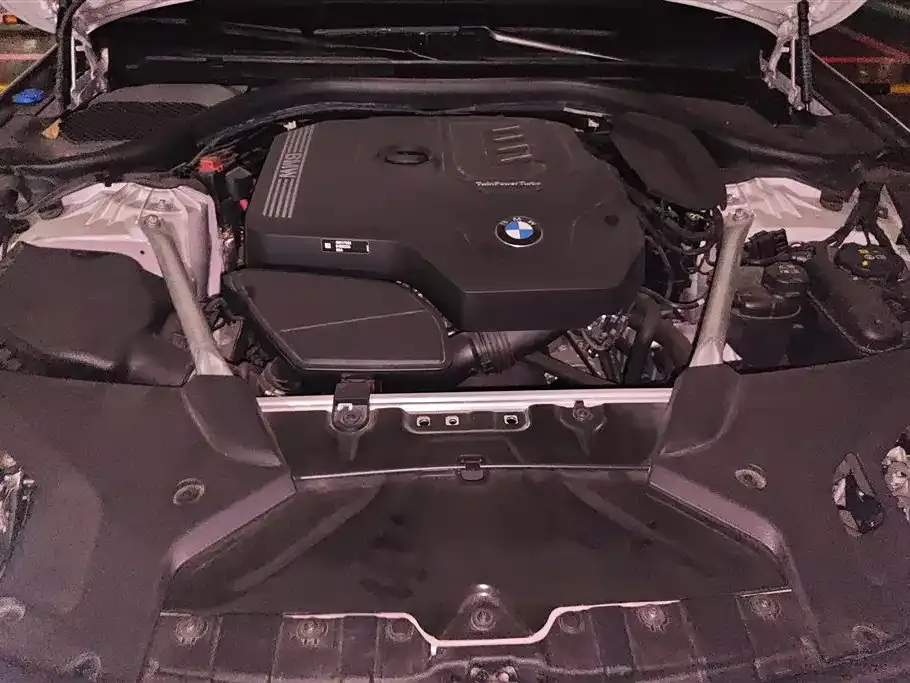 BMW 5 Series 2023 из CN, фото 10