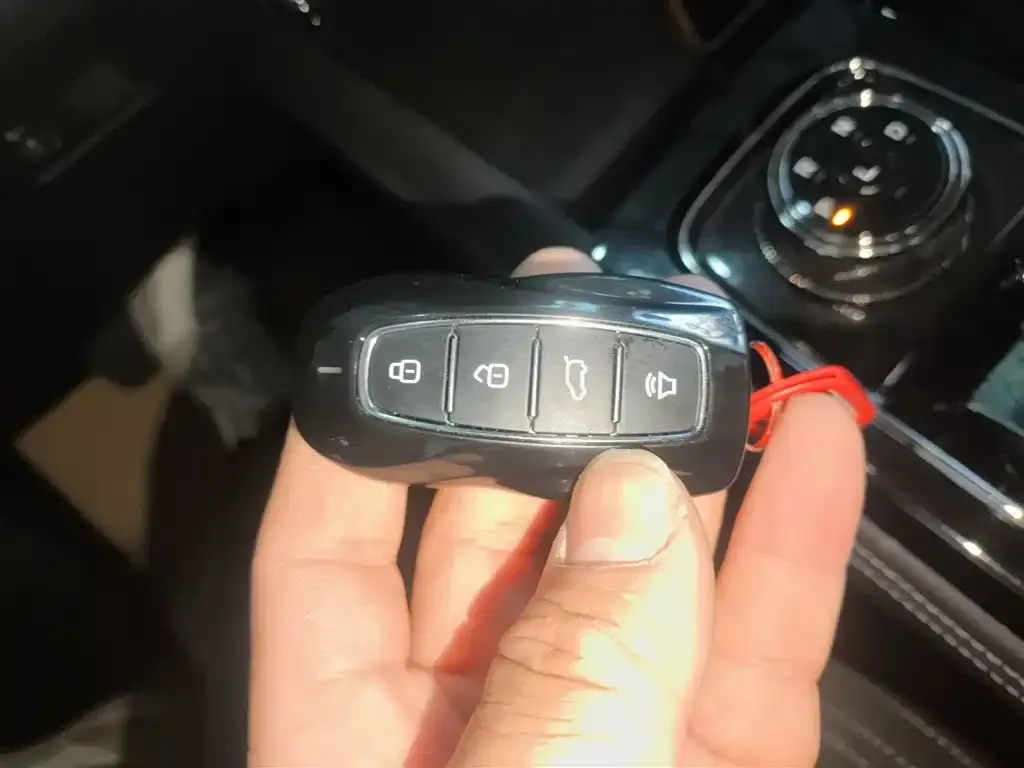 Ford Territory 2024 из CN, фото 2