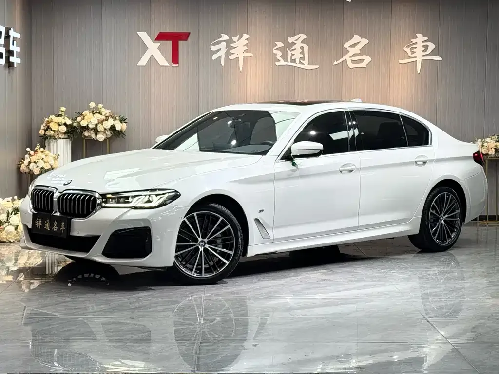 BMW 5 Series 2021 из CN, фото 1