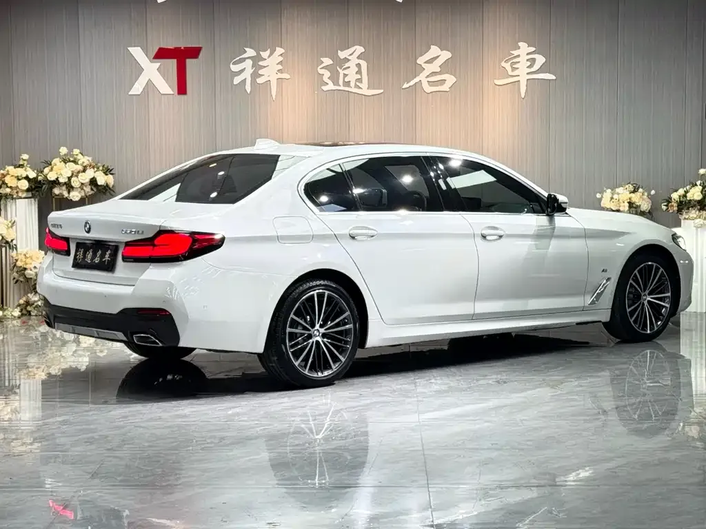 BMW 5 Series 2021 из CN, фото 9