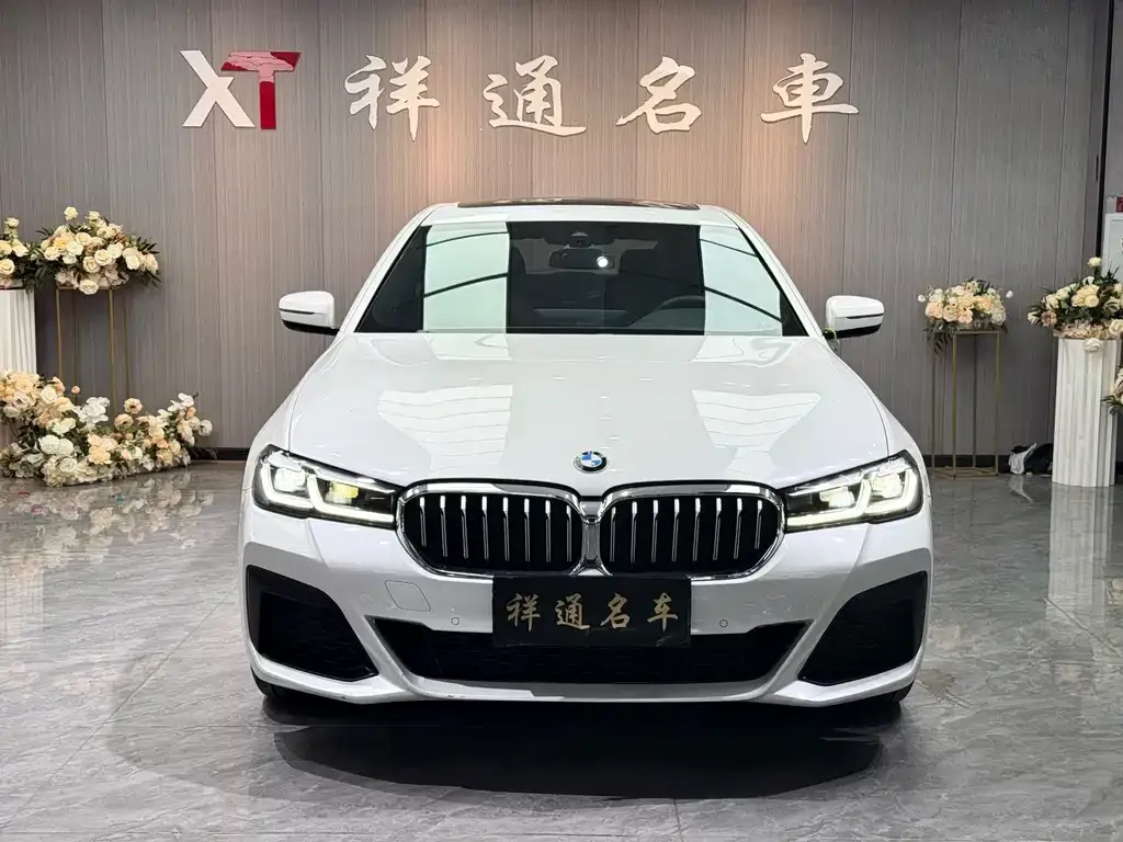 BMW 5 Series 2021 из CN, фото 8