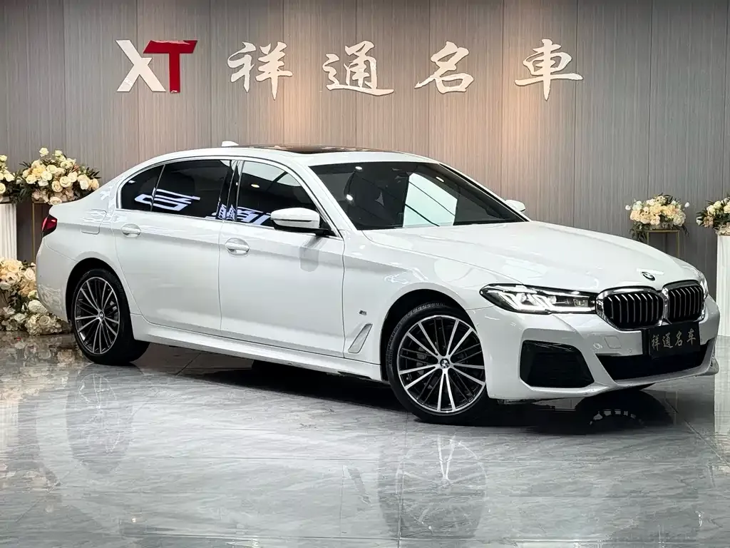 BMW 5 Series 2021 из CN, фото 2