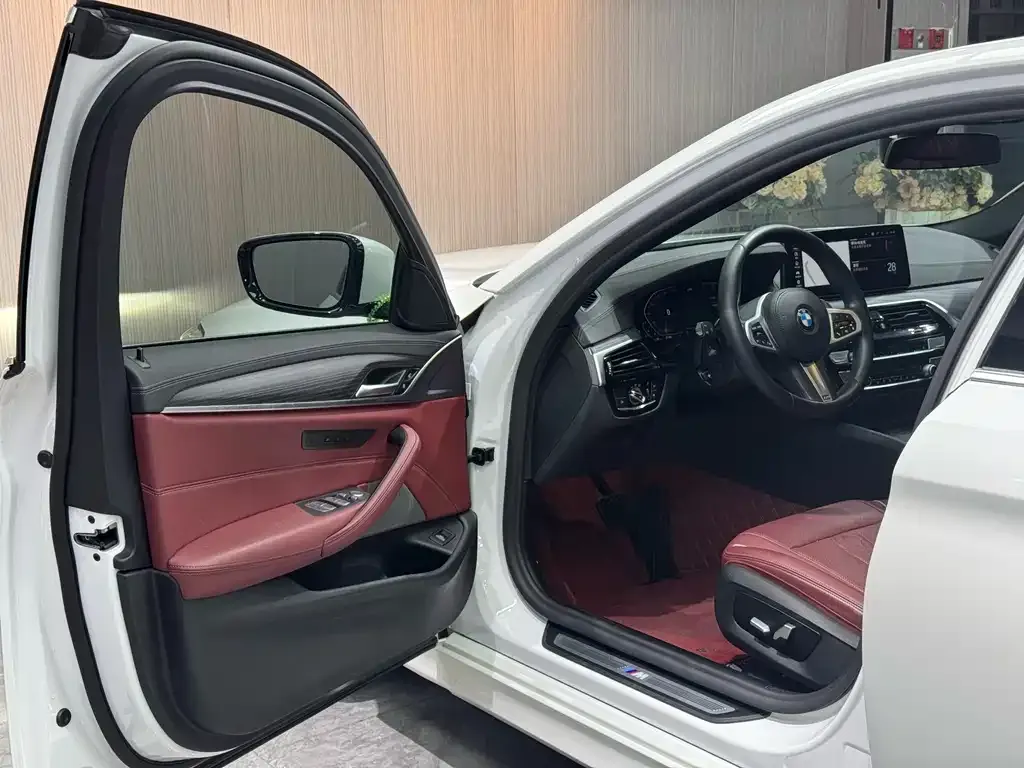 BMW 5 Series 2021 из CN, фото 4