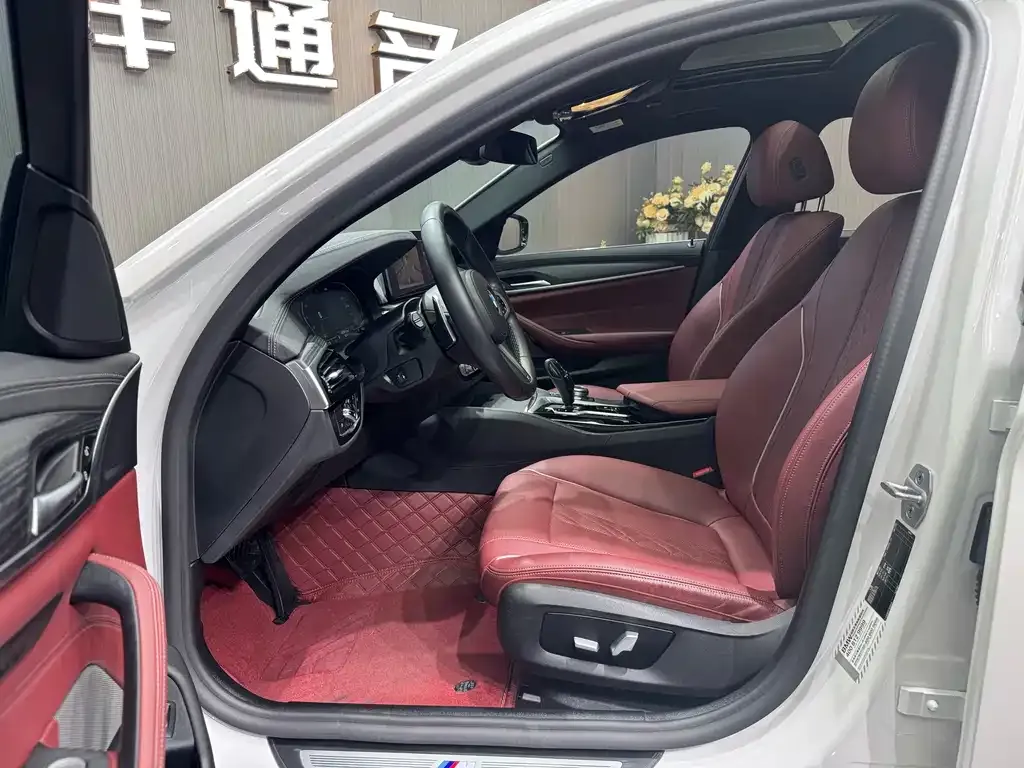 BMW 5 Series 2021 из CN, фото 7