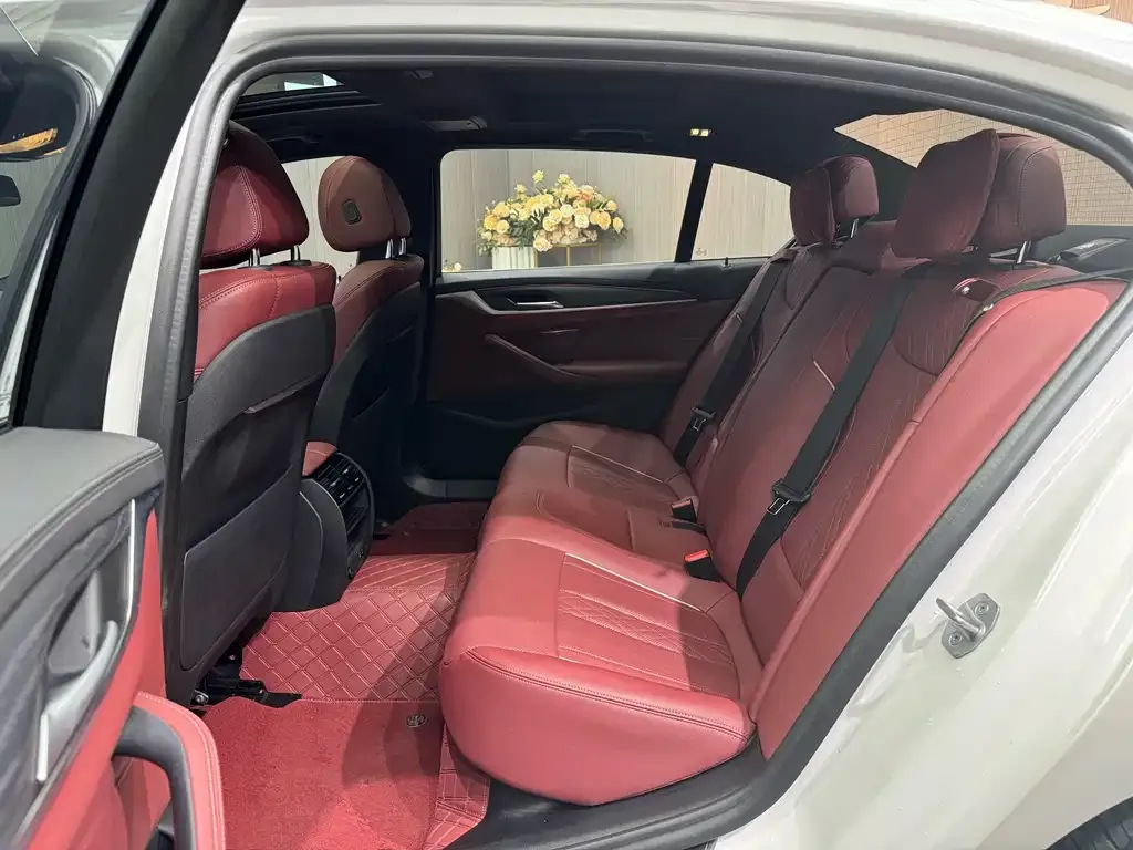 BMW 5 Series 2021 из CN, фото 6