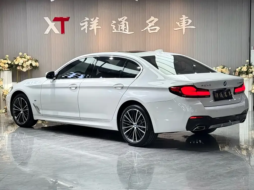 BMW 5 Series 2021 из CN, фото 3