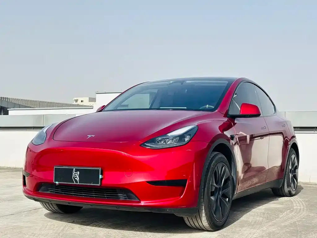 Tesla Model Y 2024 из CN, фото 1