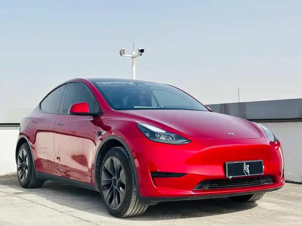 Tesla Model Y 2024 из CN, фото 2