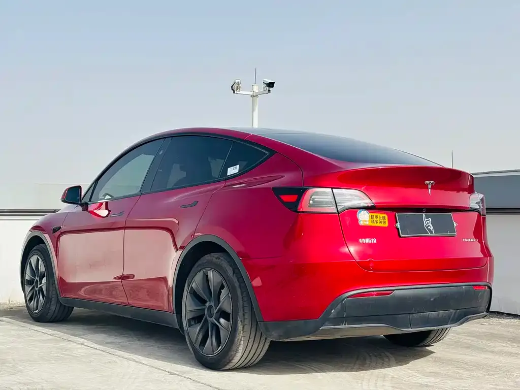 Tesla Model Y 2024 из CN, фото 5