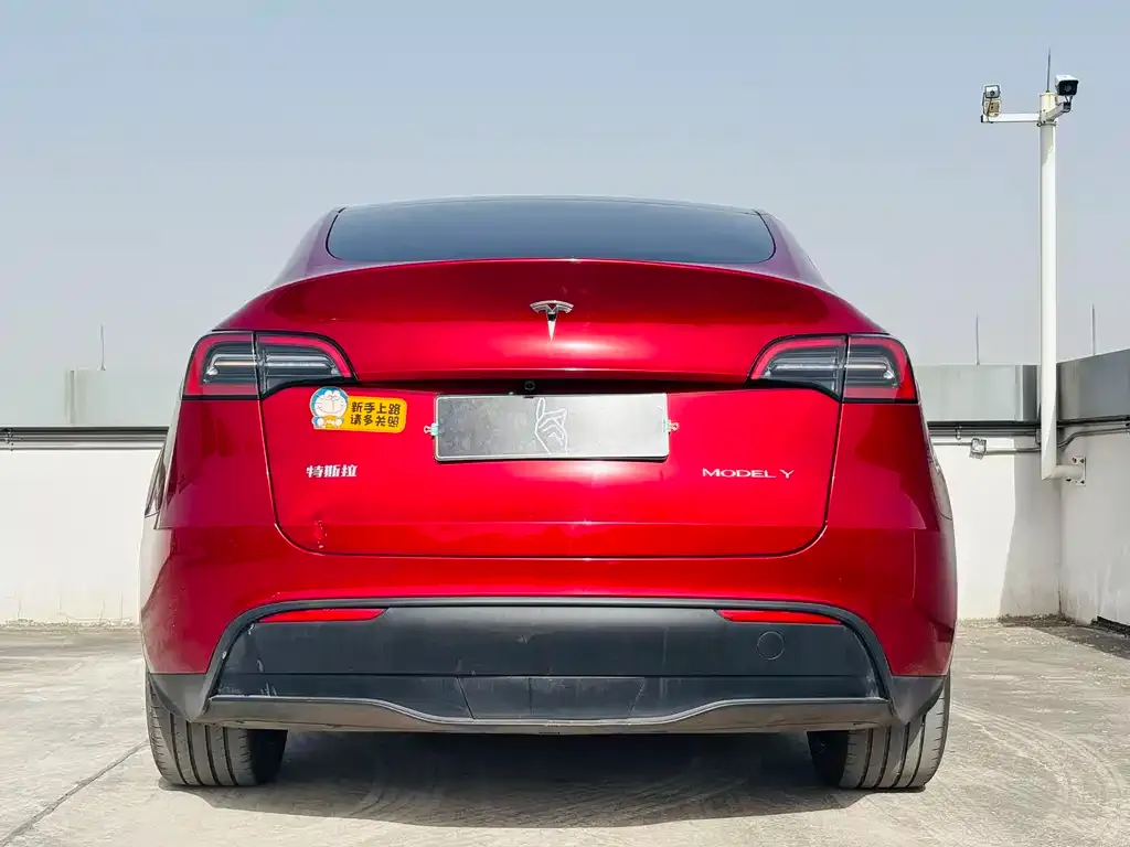 Tesla Model Y 2024 из CN, фото 6