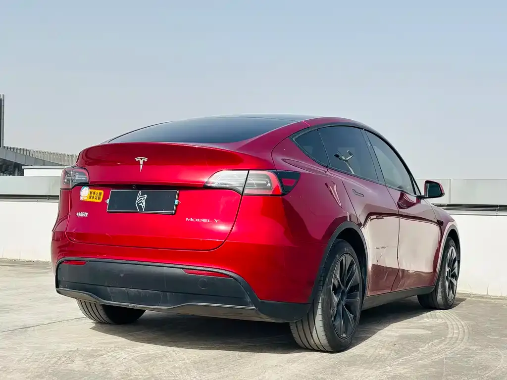 Tesla Model Y 2024 из CN, фото 8