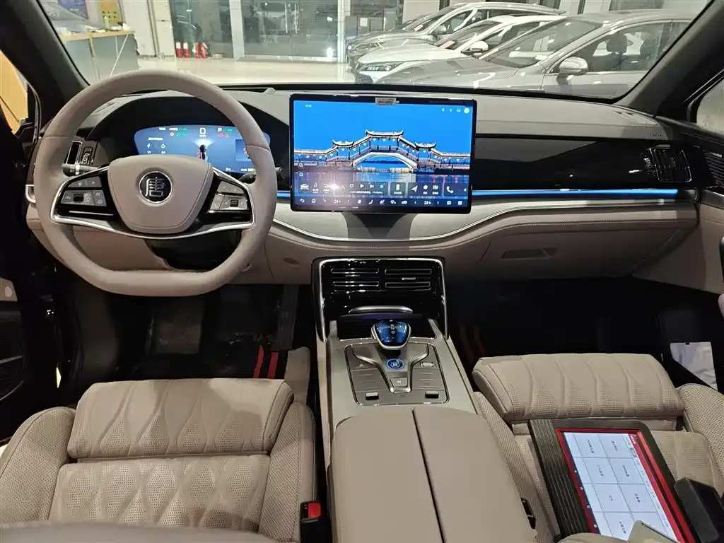 BYD Tang New Energy 2025 из CN, фото 9