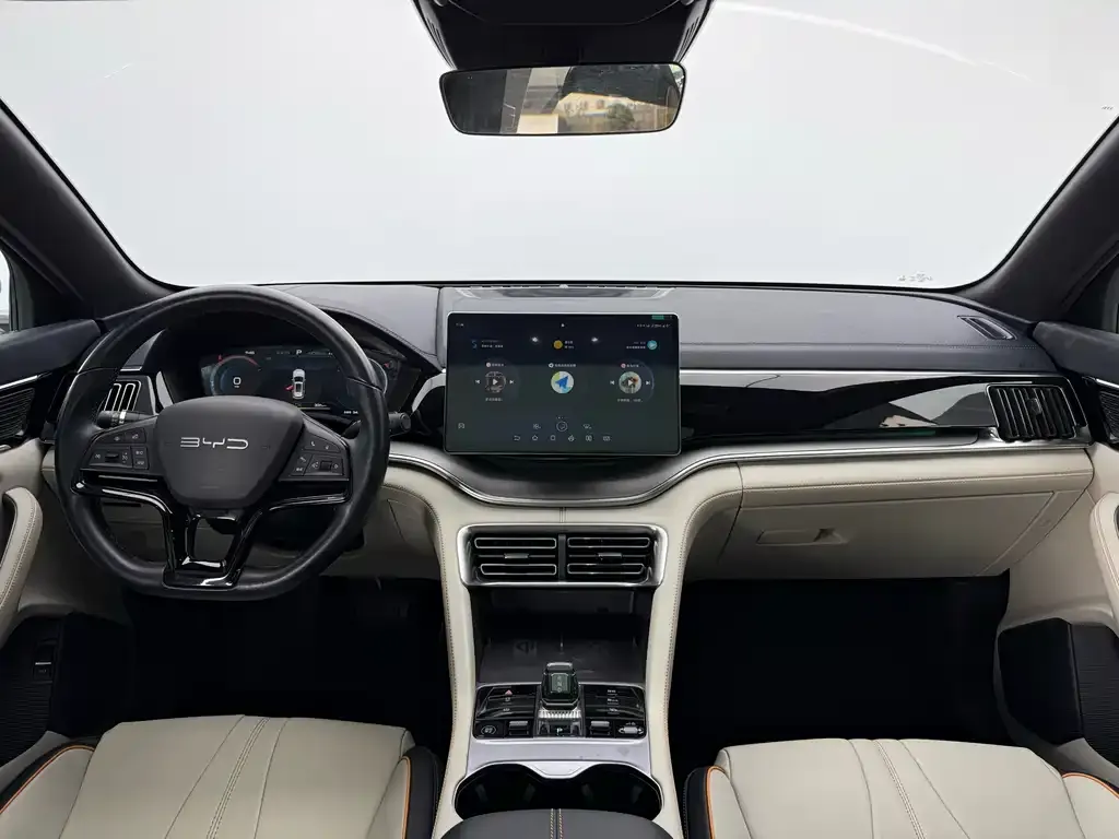 BYD PLUS New Energy — фото 3