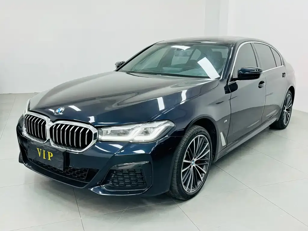 BMW 5 Series 2021 из CN, фото 1