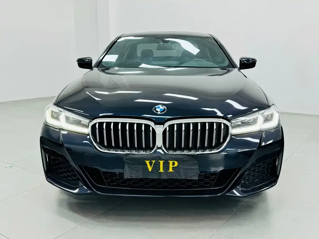 BMW 5 Series 2021 из CN, фото 5