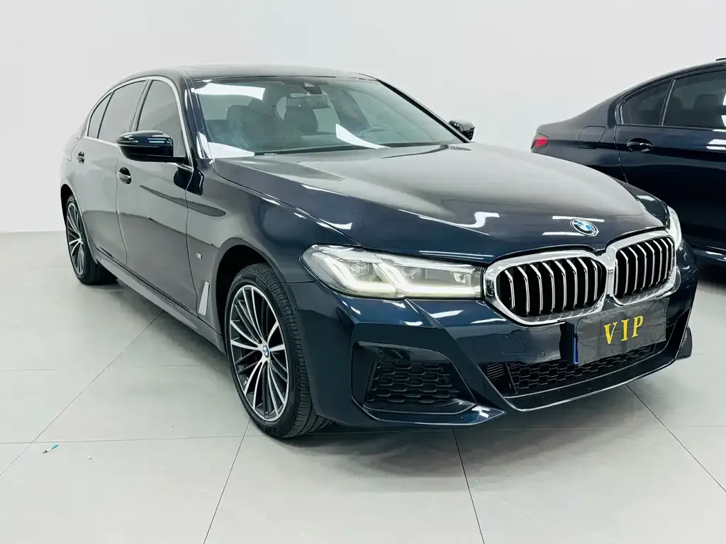 BMW 5 Series 2021 из CN, фото 3