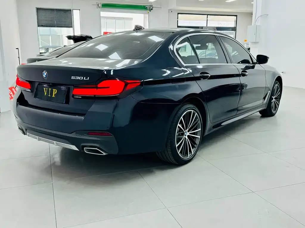 BMW 5 Series 2021 из CN, фото 2
