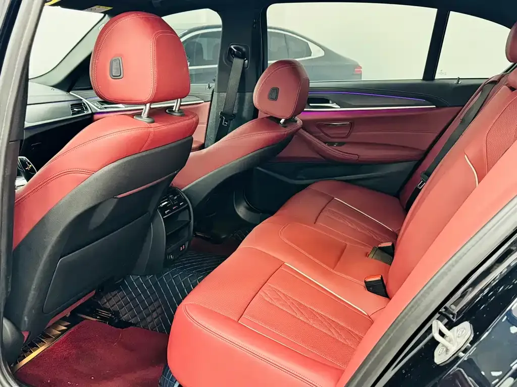 BMW 5 Series 2021 из CN, фото 10