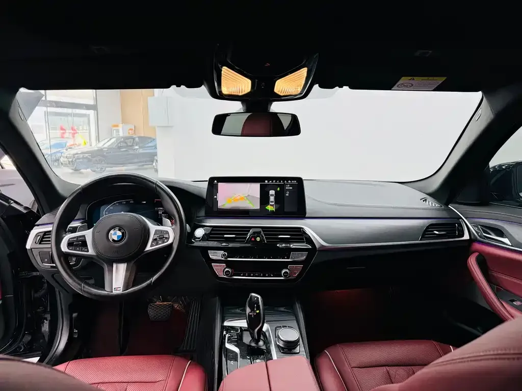 BMW 5 Series 2021 из CN, фото 8