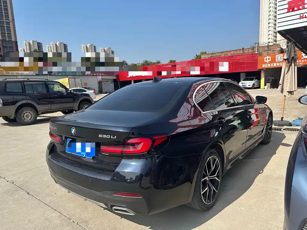 BMW 5 Series 2022 из CN, фото 5