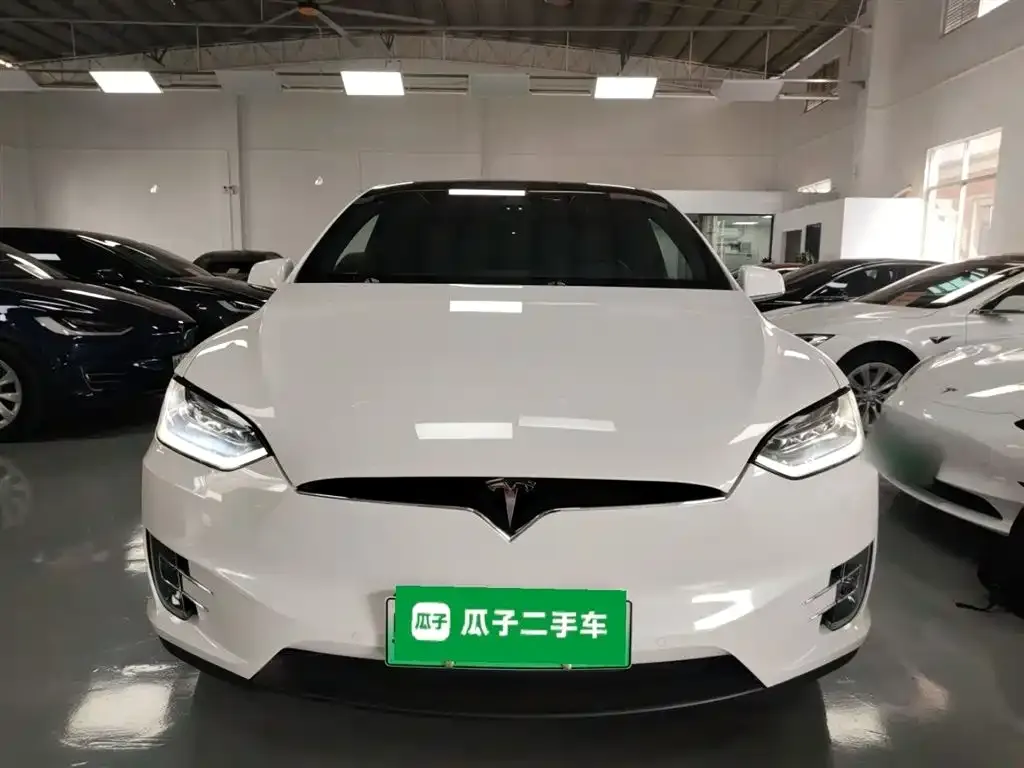 Tesla Model X — фото 5