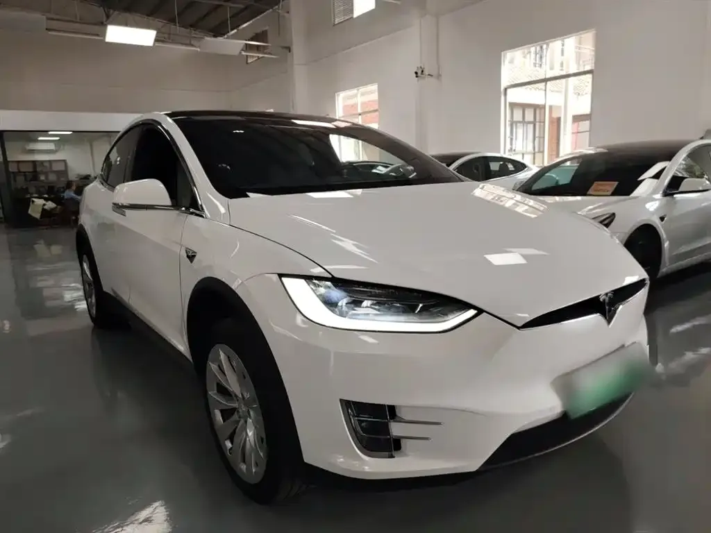 Tesla Model X — фото 10