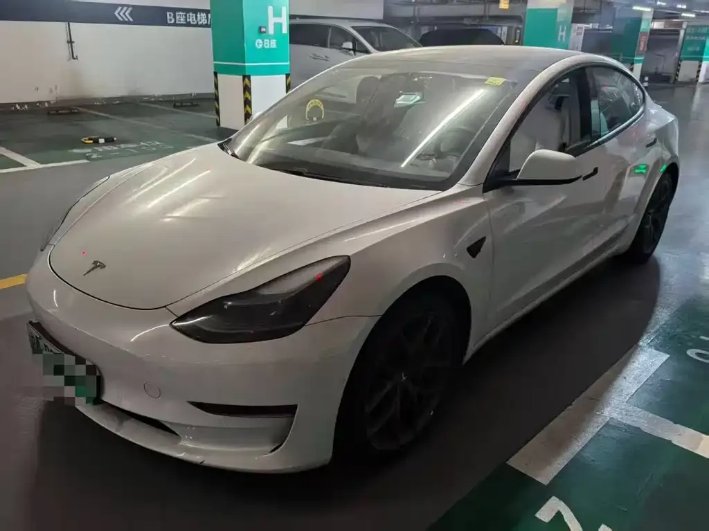 Tesla Model 3 2021 из CN, фото 1