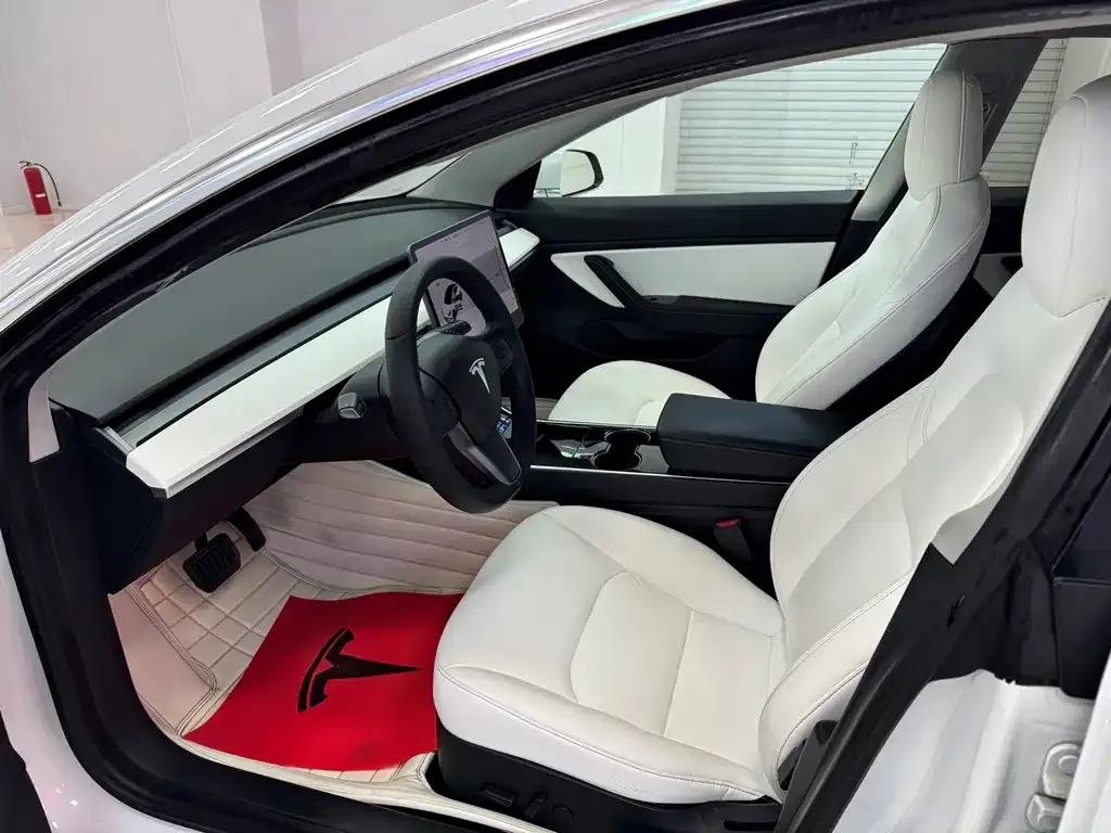 Tesla Model 3 2021 из CN, фото 3