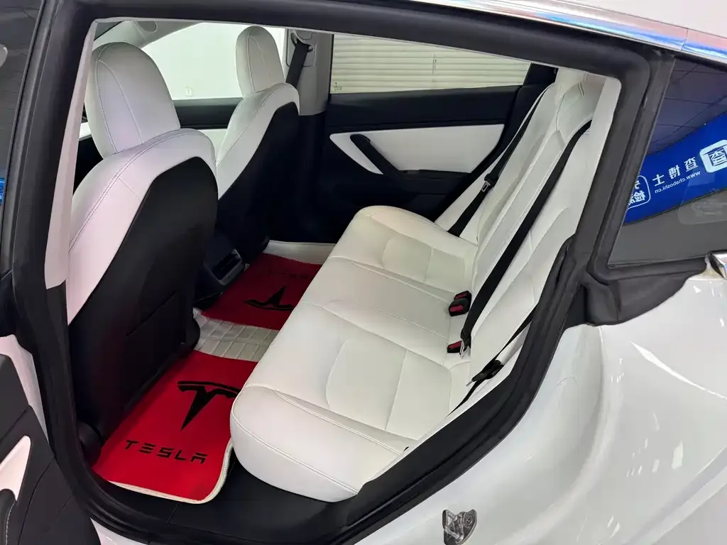 Tesla Model 3 2021 из CN, фото 4