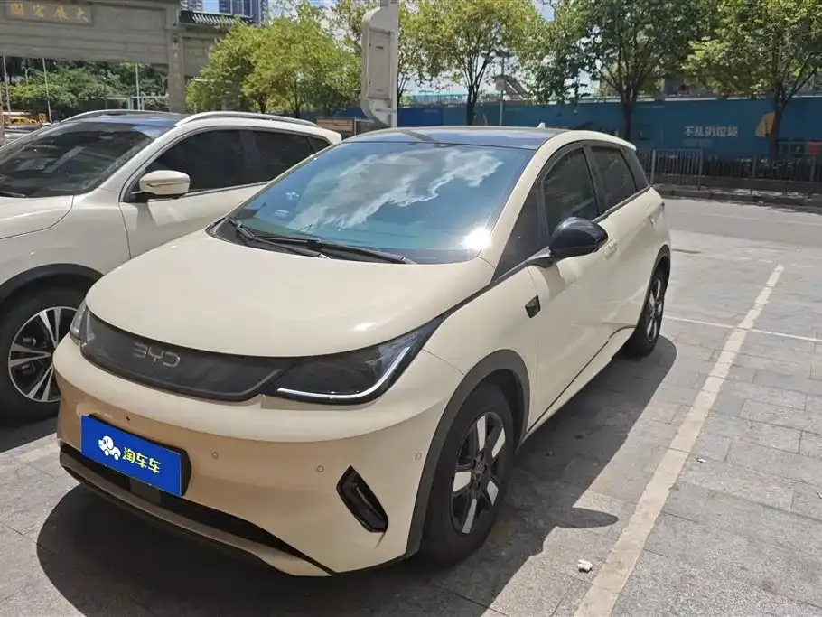 BYD Dolphin 2025 из CN, фото 1