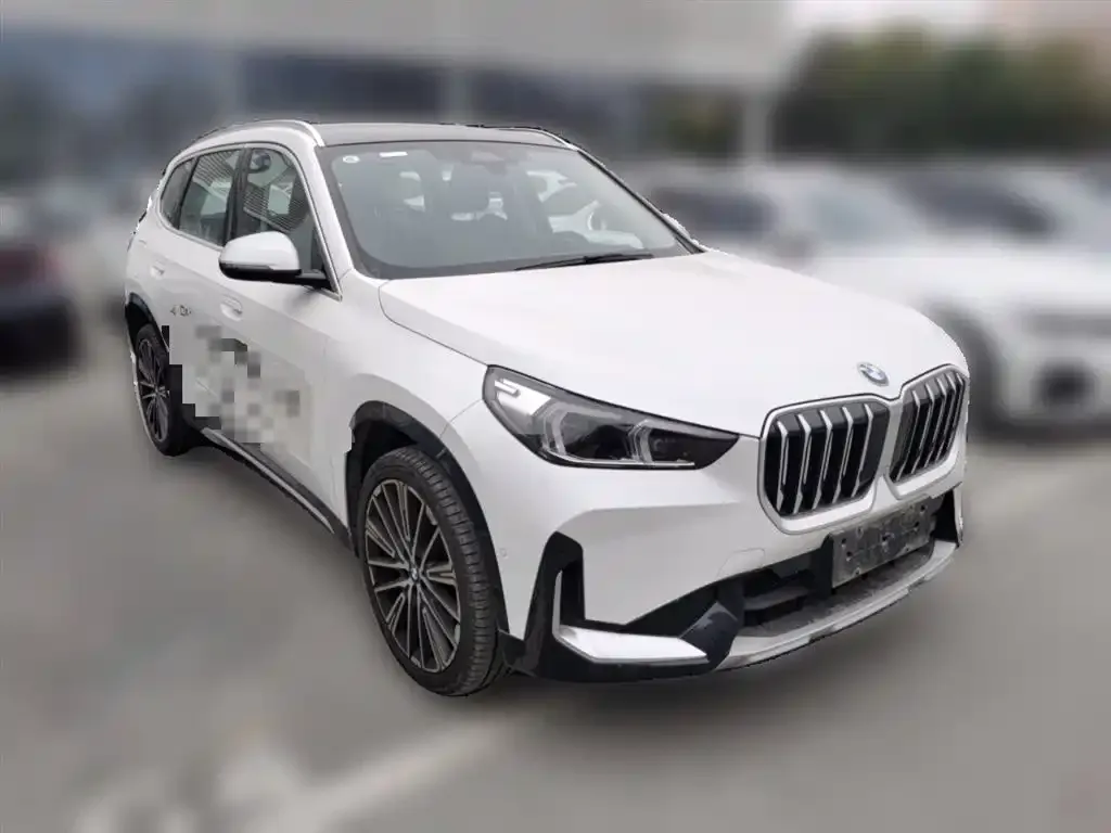 BMW X1 2024 из CN, фото 3
