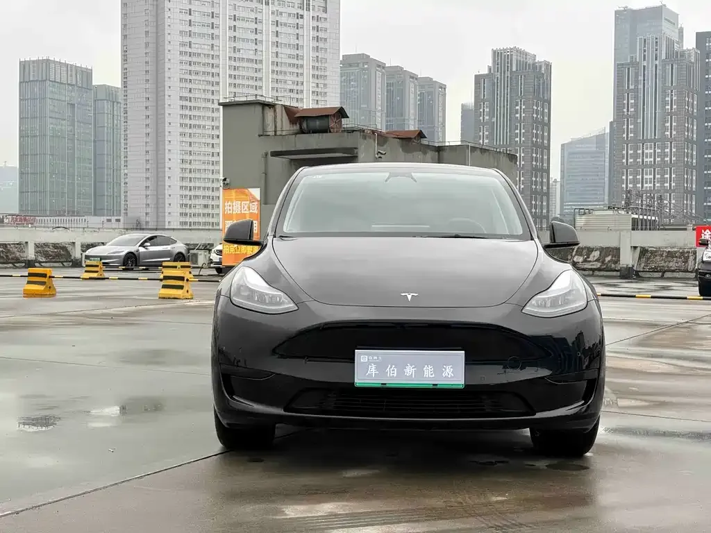 Tesla Model Y — фото 5