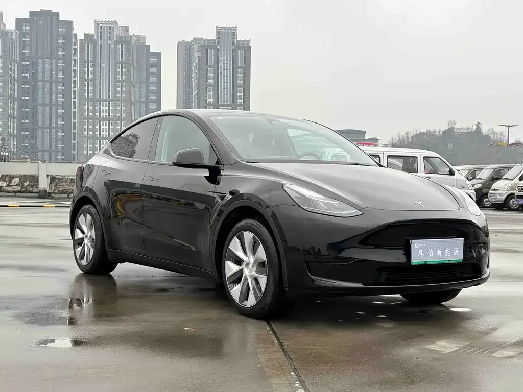 Tesla Model Y — фото 2